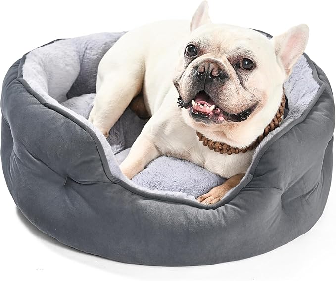 Basics Round Dog Bed for Medium Dogs, Cat Beds for Indoor Cats, Washable Pet Bed with Soft Plush Cushion, Anti-Slip Bottom, 25x21x8 Inches, Gray
