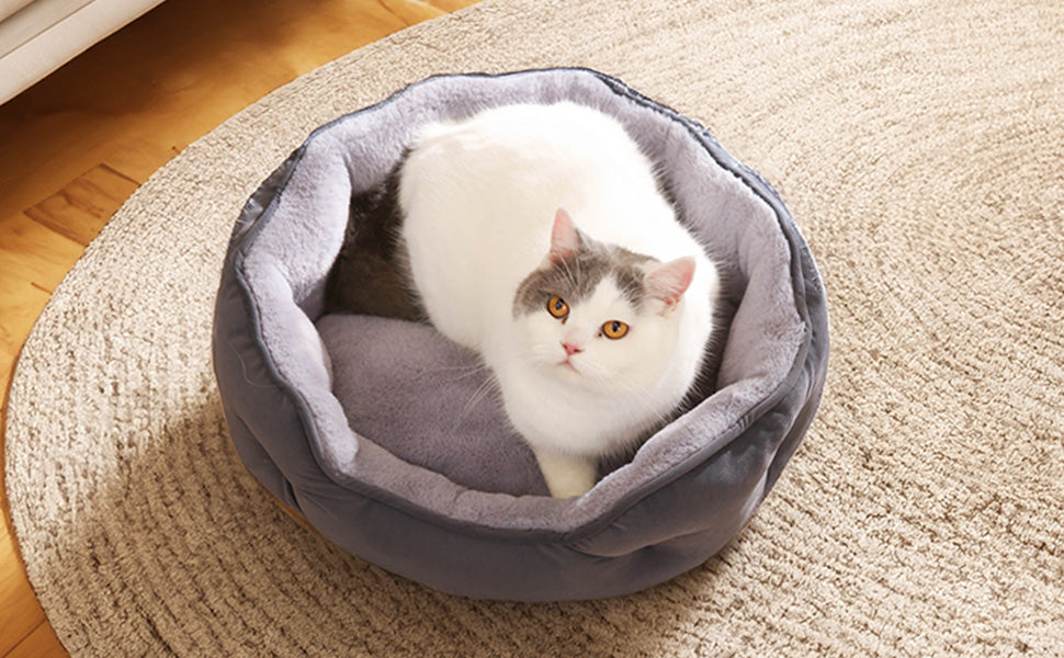 Basics Round Dog Bed for Medium Dogs, Cat Beds for Indoor Cats, Washable Pet Bed with Soft Plush Cushion, Anti-Slip Bottom, 25x21x8 Inches, Gray